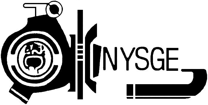 NYSGE NYSGE