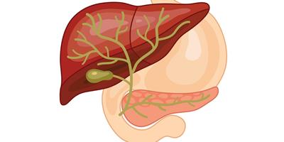 iStock-508011934 biliary for clinical topics