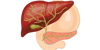 iStock-508011934 biliary for clinical topics