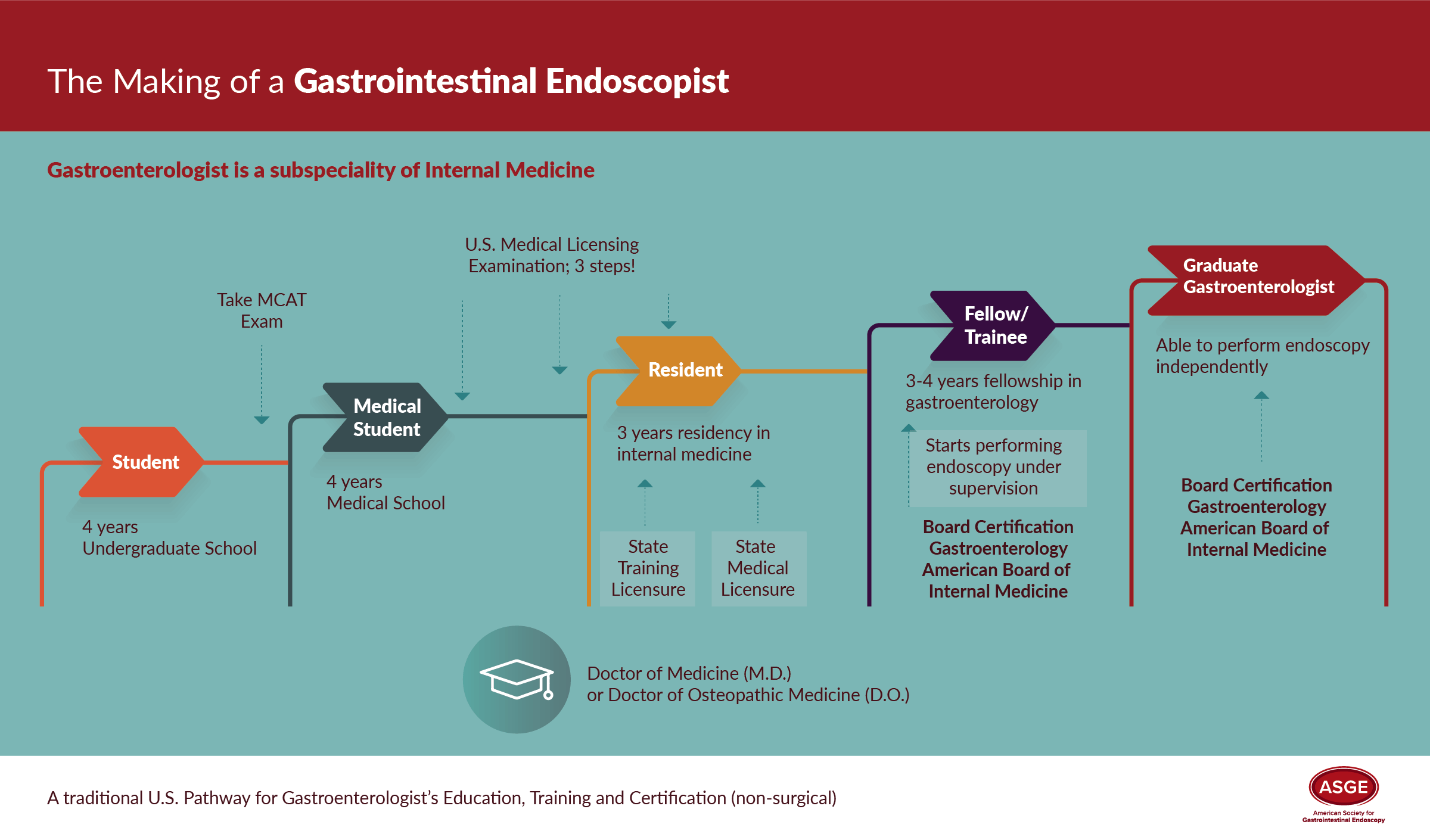 The Making of a Gastrointestinal Endoscopist
